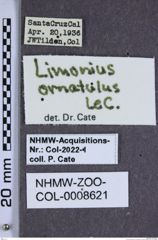 Etiketten zu Tetralimonius ornatulus (NHMW-ZOO-COL-0008621)